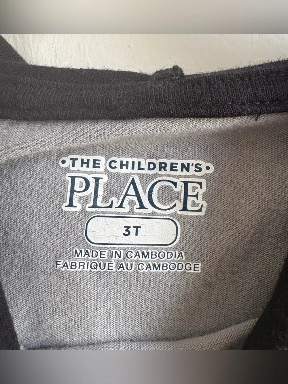 The Children's Place Boys 3T Gray Hooded Long Sleeve T-Shirt Dinosaur Graphic